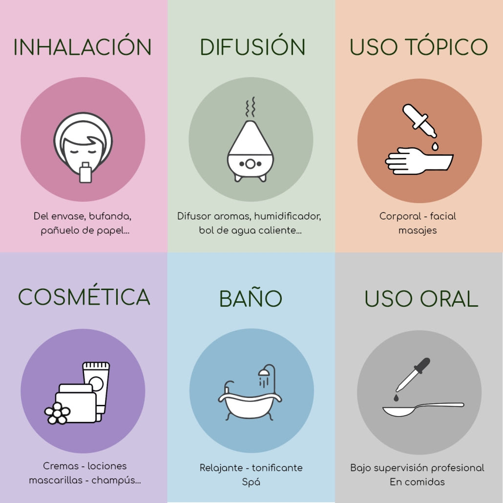 Aceite esencial de Eucalipto de Labiatae 12ml