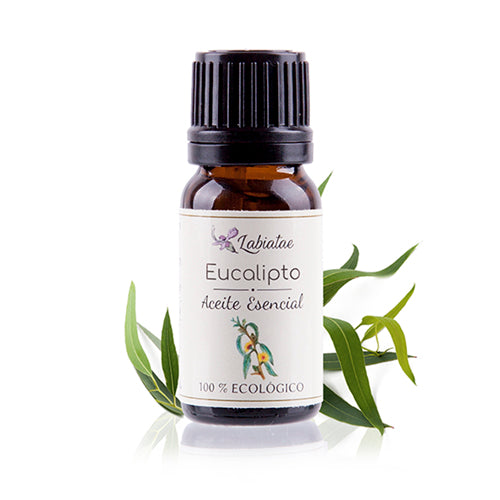 Aceite esencial de Eucalipto de Labiatae 12ml