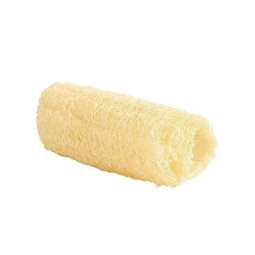 Luffa natural sin tratar, fibra vegetal para limpieza